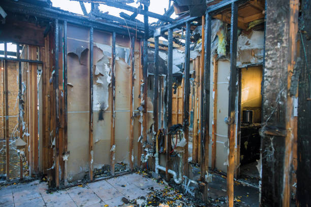 Professional Fire Damage Removal technician working in Towson, MD